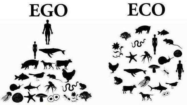why am i vegan eco vs wgo